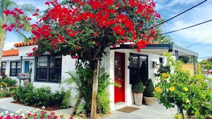 A white house with a red door, surrounded by a garden with red and yellow flowers, and a palm tree. - Oasis Hotel (Fort Lauderdale)