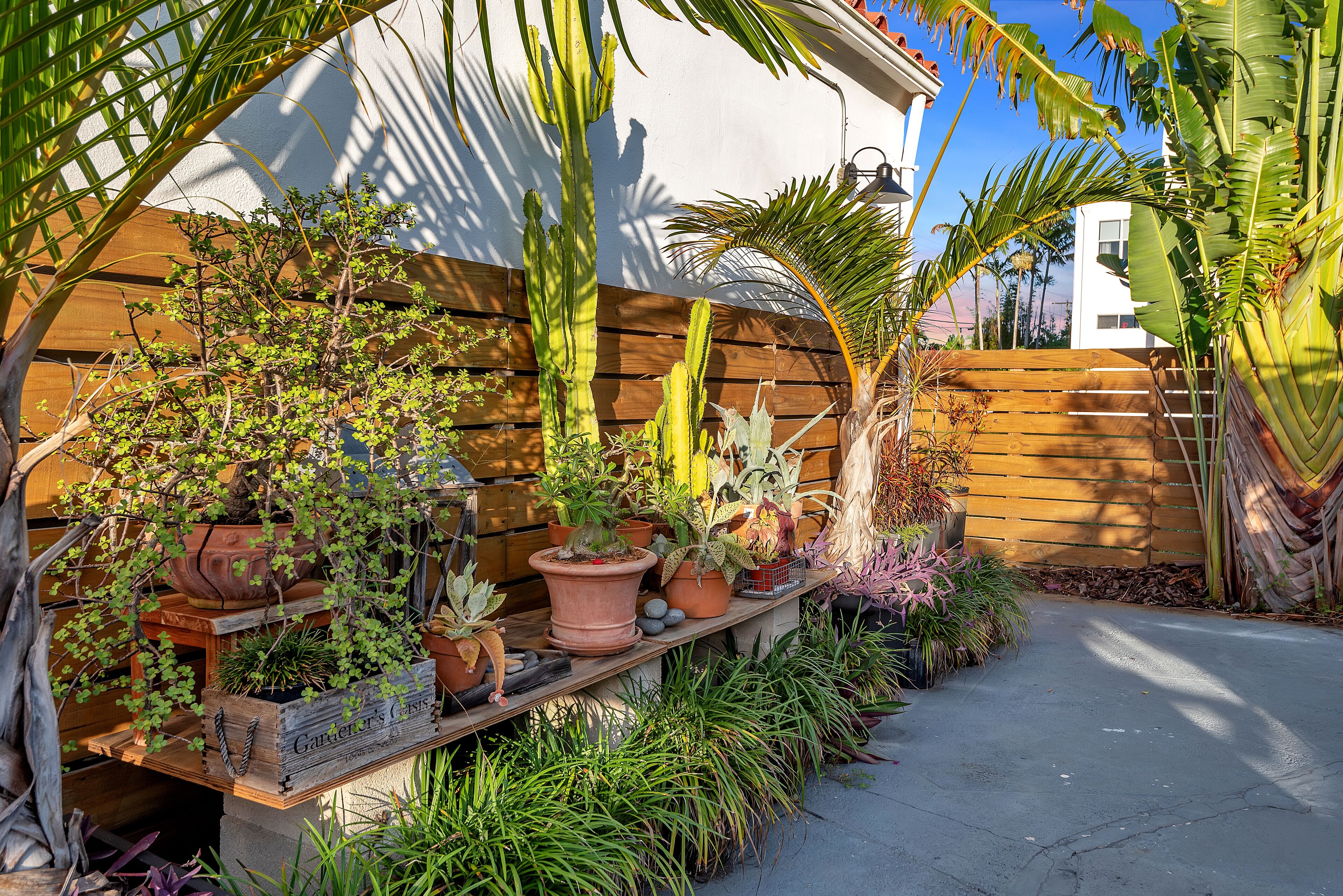 A wooden bench with potted plants and a concrete pathway.