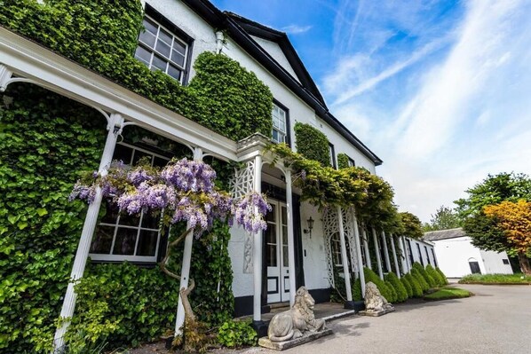 Un edificio bianco con edera verde e fiori viola, una statua di leone in pietra e un cielo sereno.