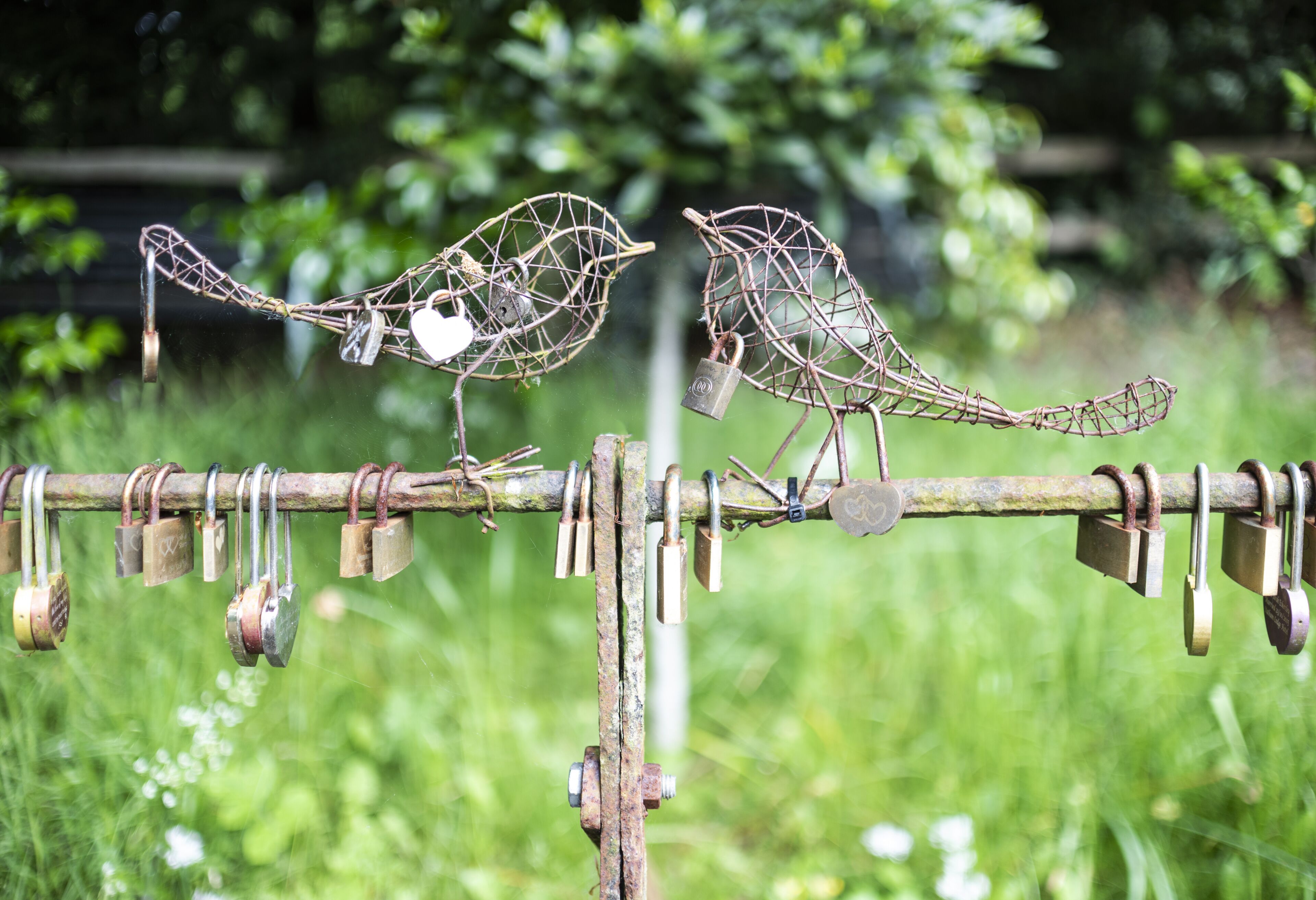 Two metal bird sculptures on a branch with multiple padlocks.