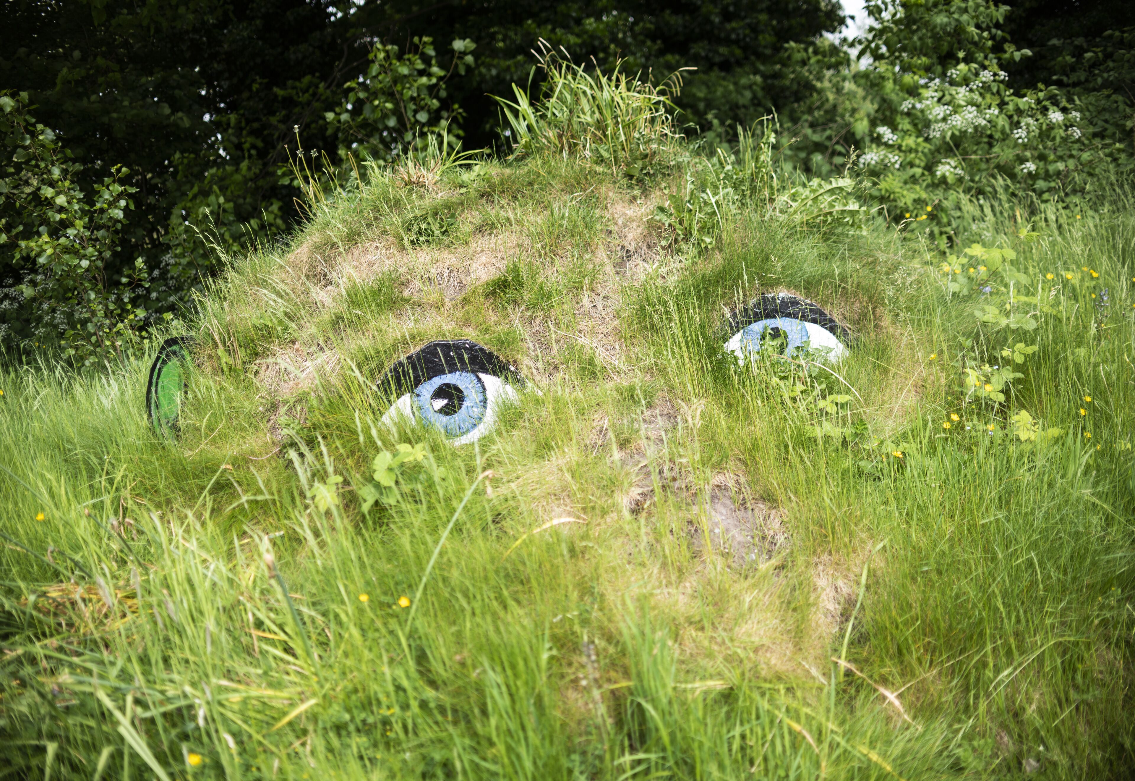 A grassy area with two large, painted eyes.
