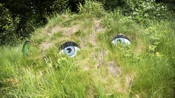 A grassy area with two large, painted eyes.