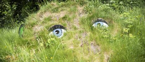 A grassy area with two large, painted eyes.