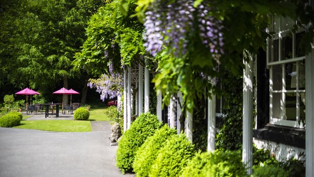 A pathway leading to a building with white columns and purple flowers. - Statham Lodge Hotel (Lymm)
