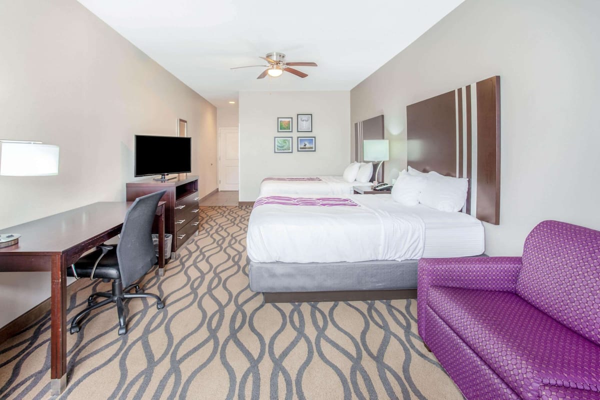 A hotel room with a bed, a desk with a chair, a television, a ceiling fan, and a purple sofa.