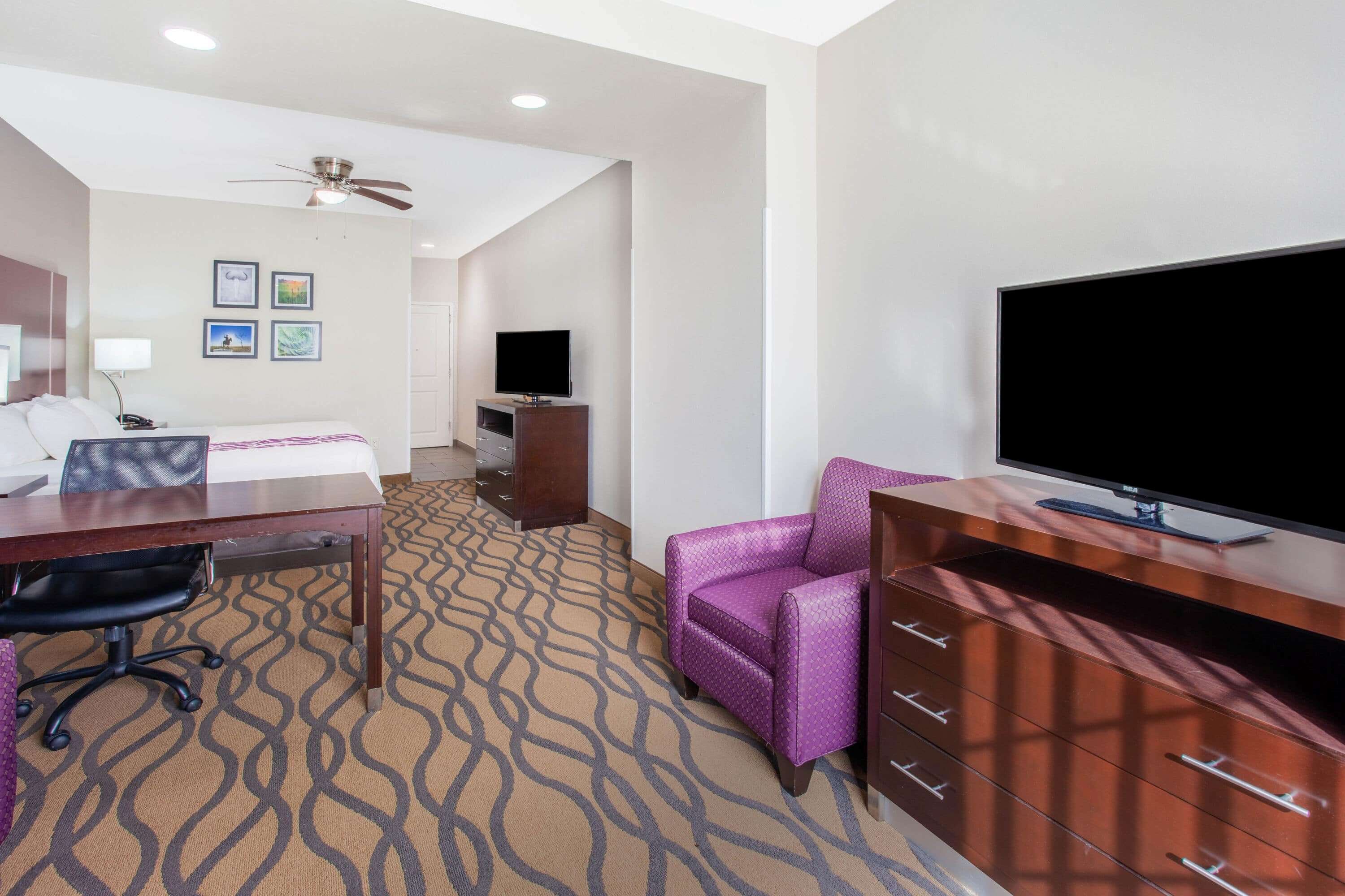 Habitación de hotel con cama, escritorio, silla, televisor y alfombra estampada.