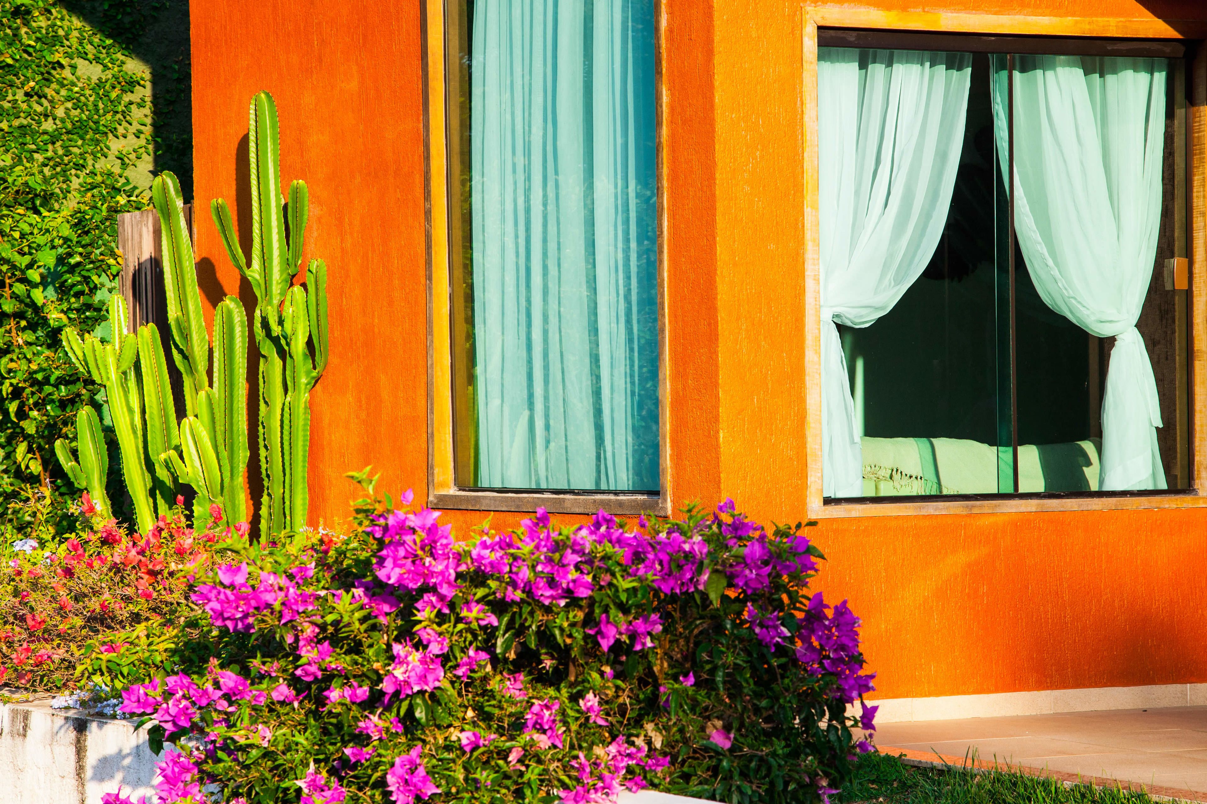 Photo - BemTeVi Em Búzios