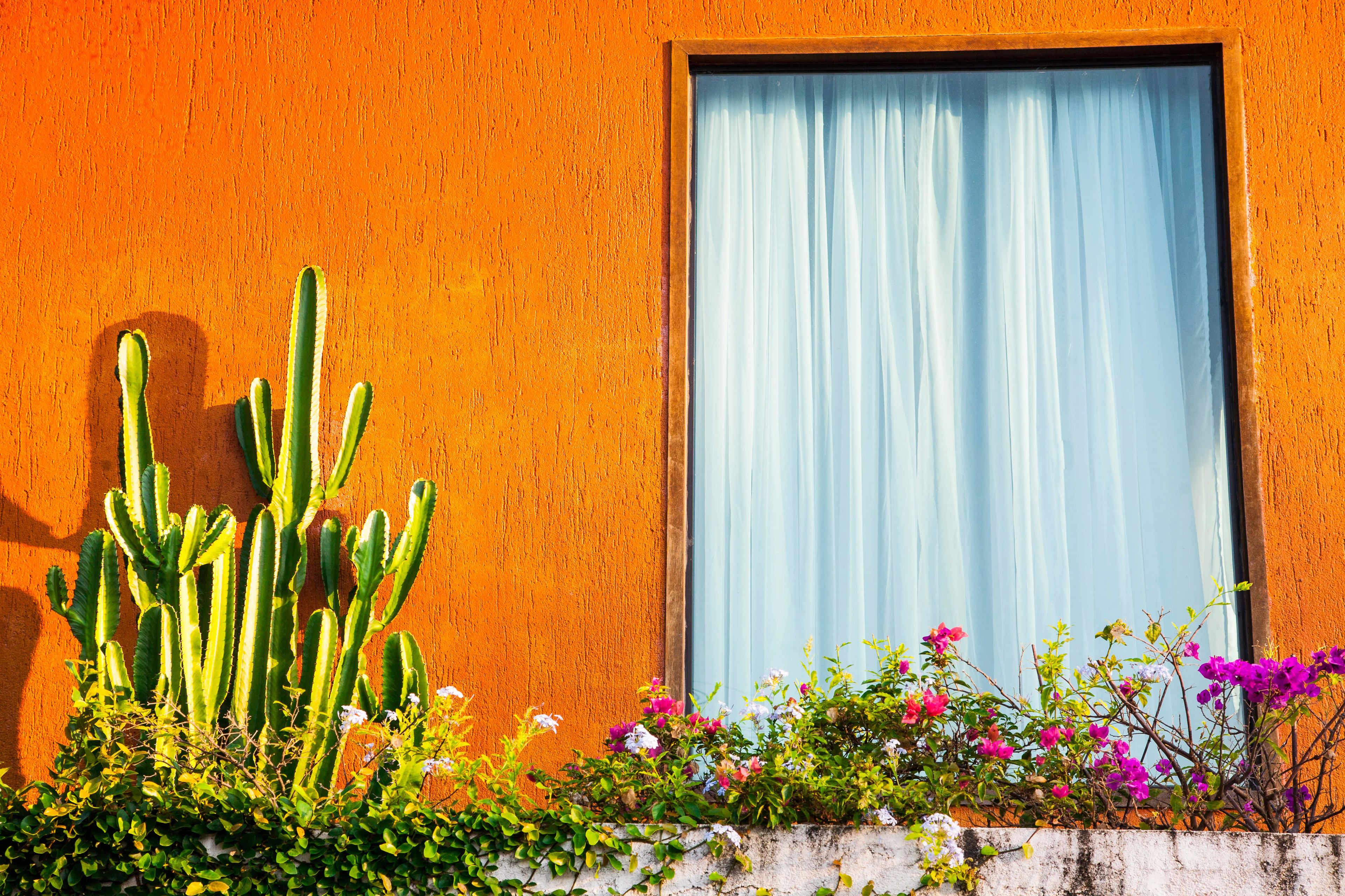 Photo - BemTeVi Em Búzios