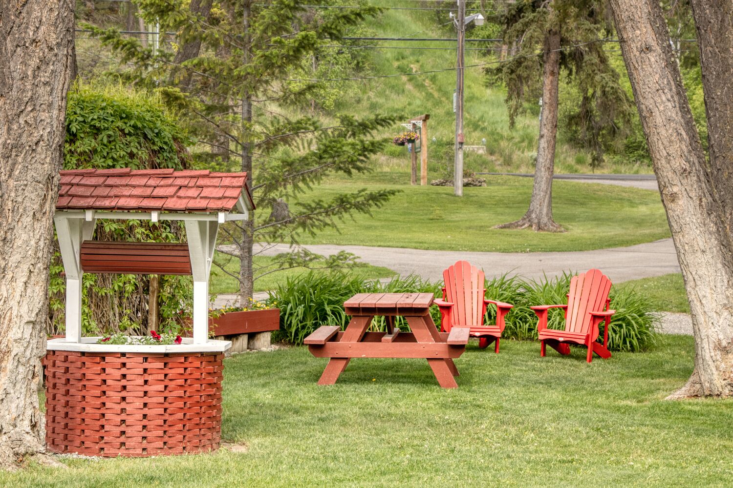 A picnic setup with a wooden table and two red Adirondack chairs, surrounded by trees and a grassy area.