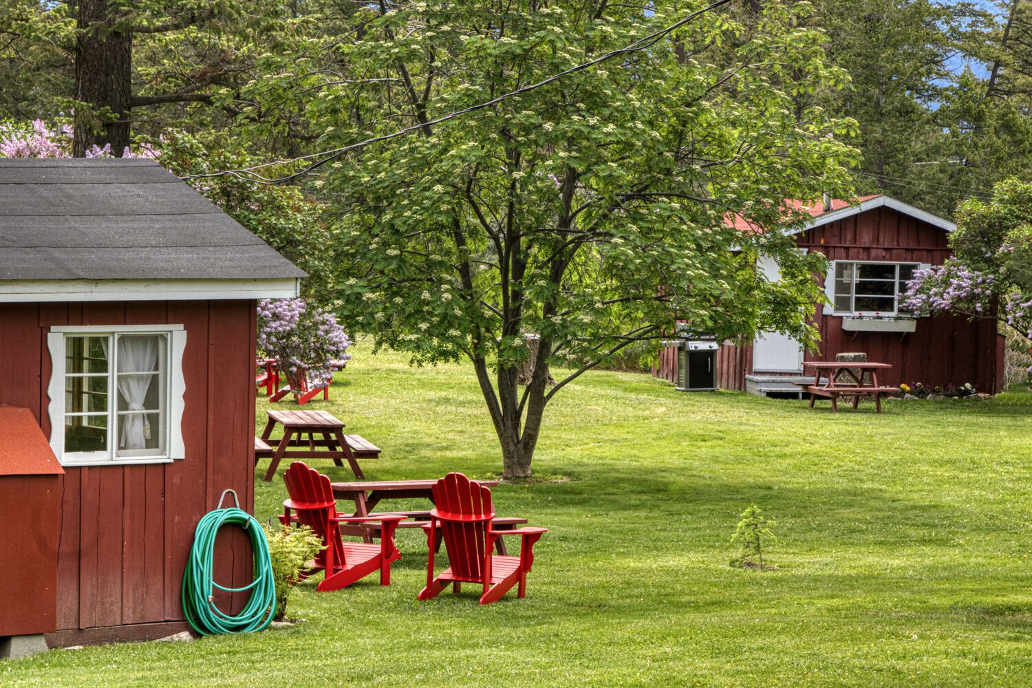 Une petite cabane avec une table de pique-nique et des chaises rouges, située dans une cour verdoyante.