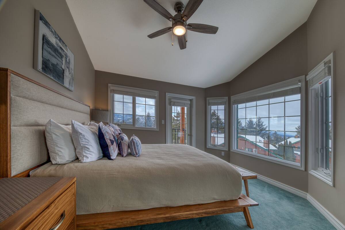 A bedroom with a large bed, a ceiling fan, and multiple windows offering a view of the outside.