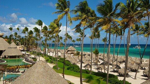 A resort with a pool, palm trees, and a beach. - Now Garden Punta Cana All Inclusive (Punta Cana)