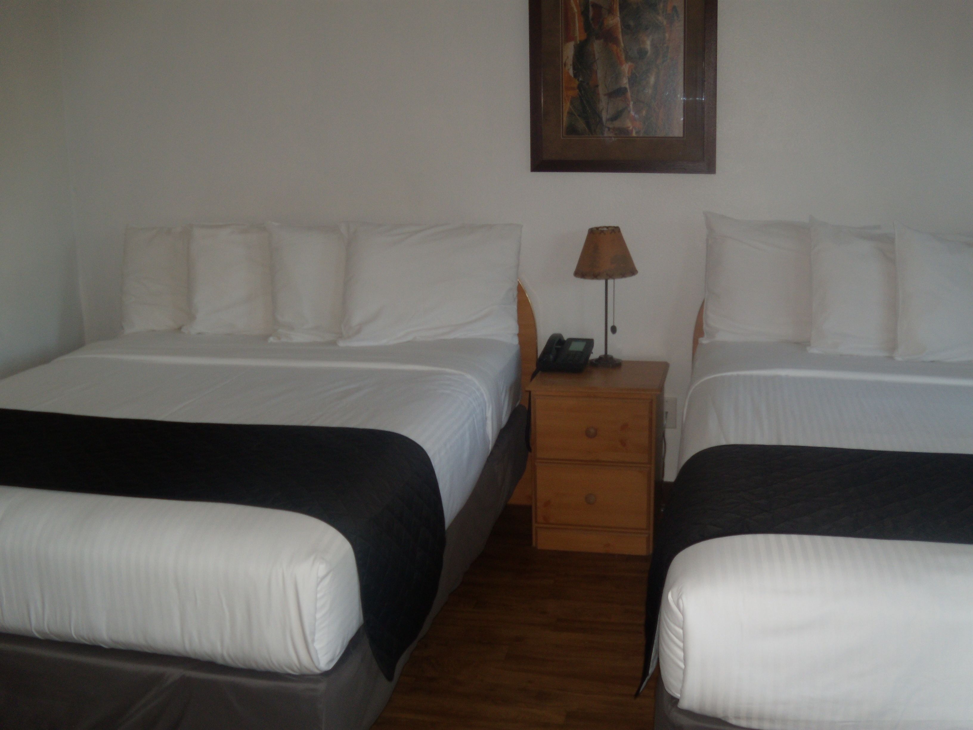 Una habitación de hotel con dos camas individuales, una mesita de noche con una lámpara, y un cuadro en la pared.
