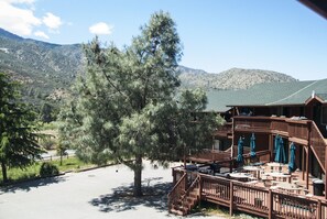 Terras