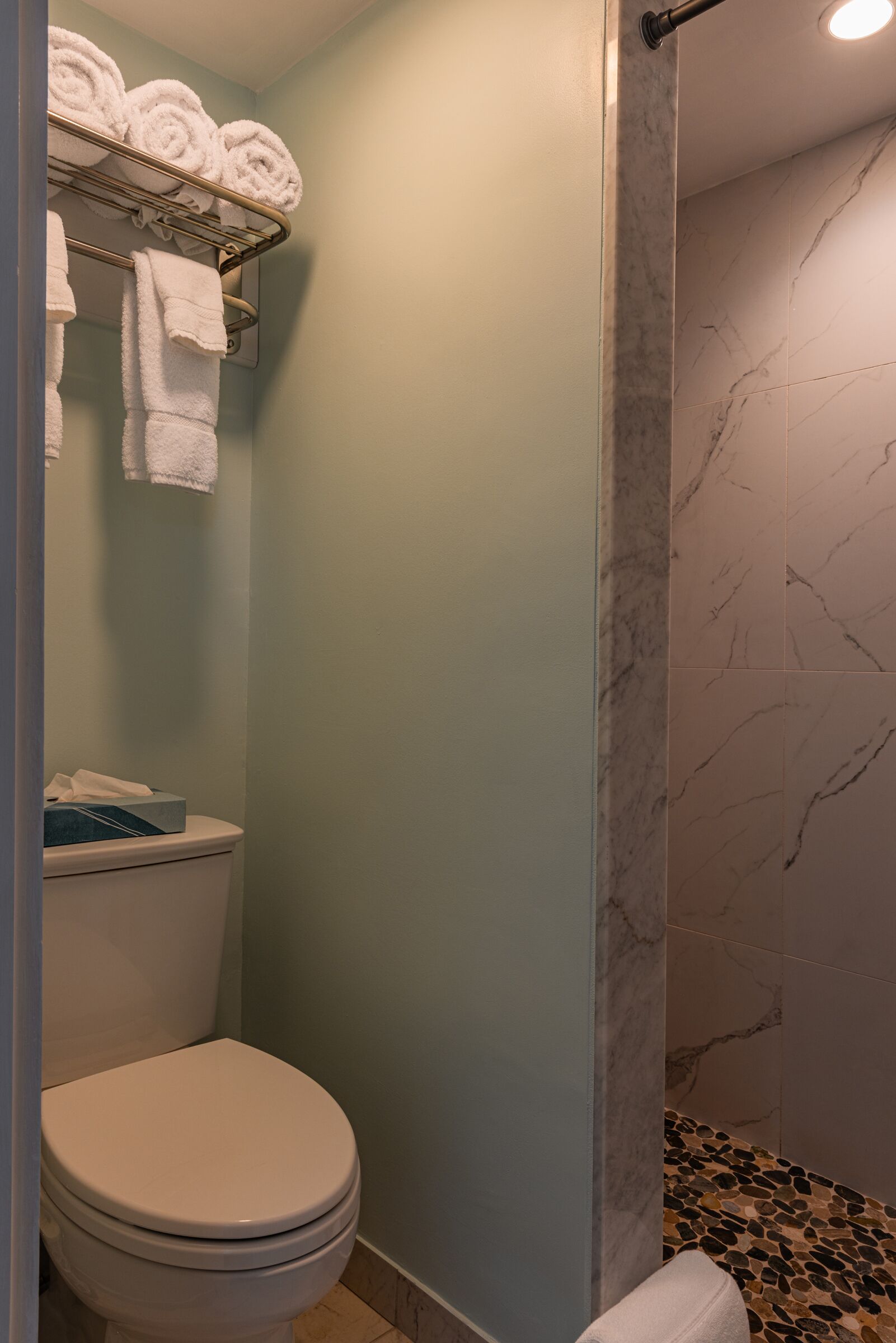 Une salle de bain comprenant des toilettes, un porte-serviettes avec des serviettes pliées, et un espace douche avec des carreaux de marbre.