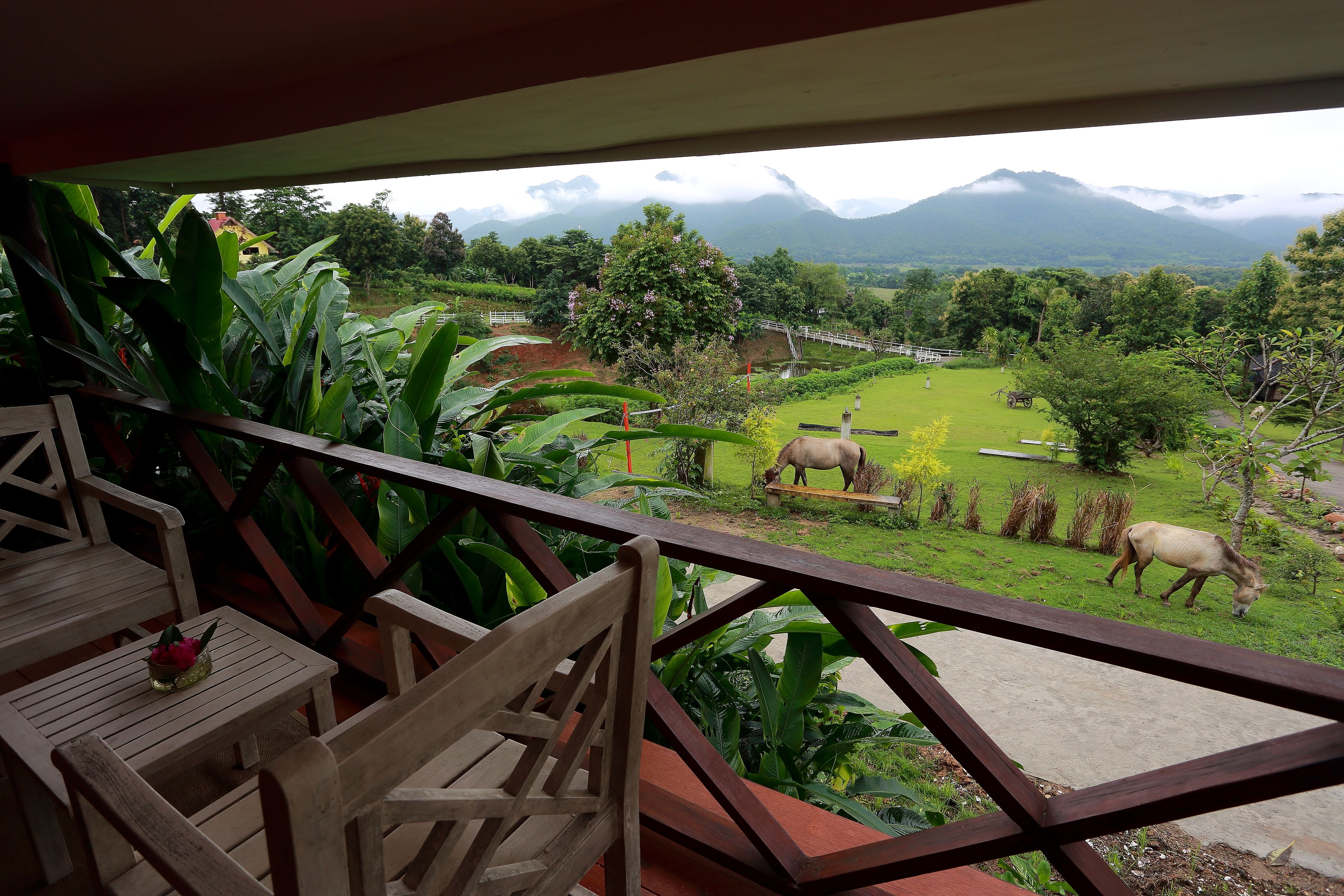 family room (deluxe) | view from room