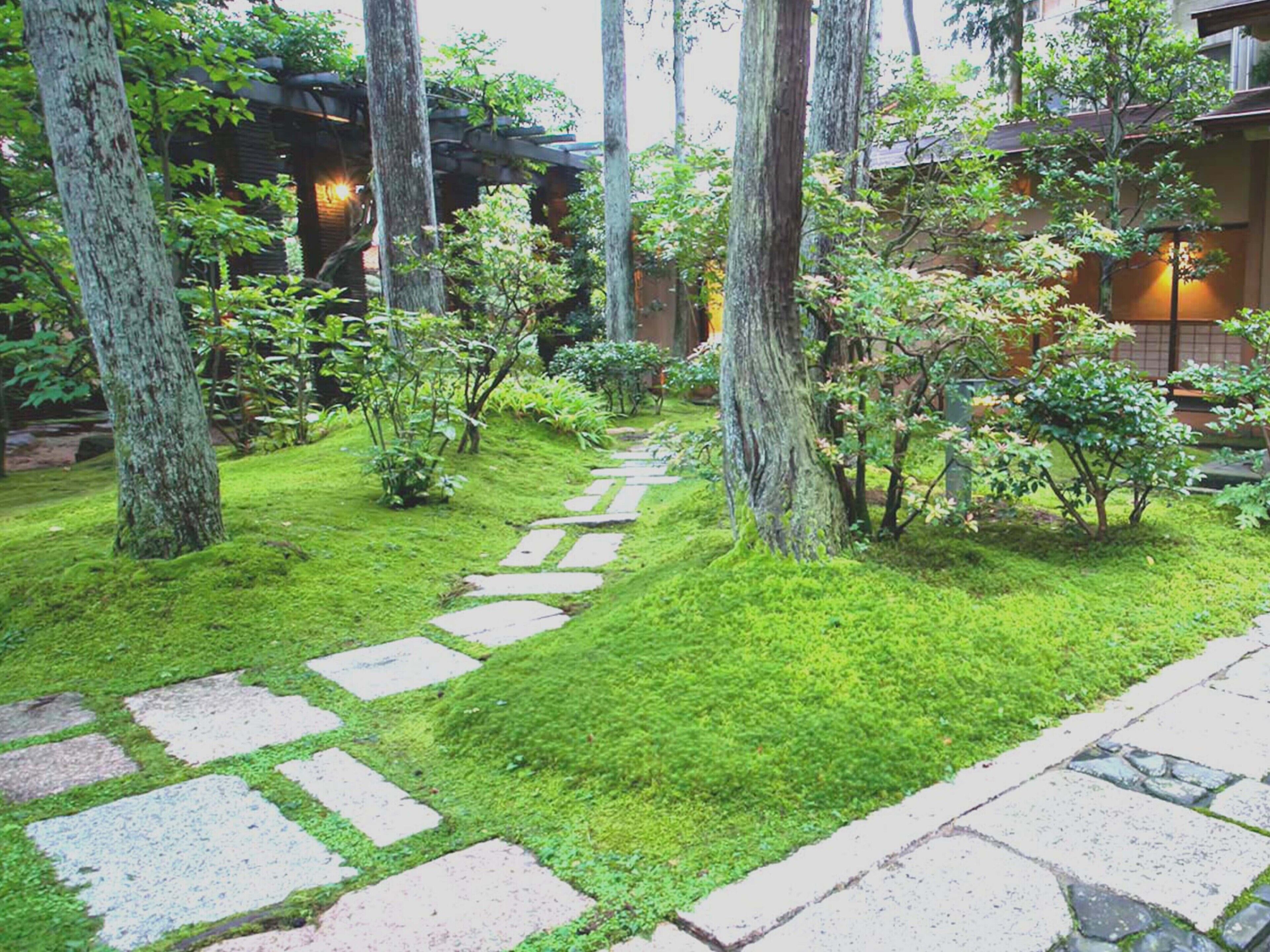 A garden pathway with stepping stones leading through lush greenery and trees.