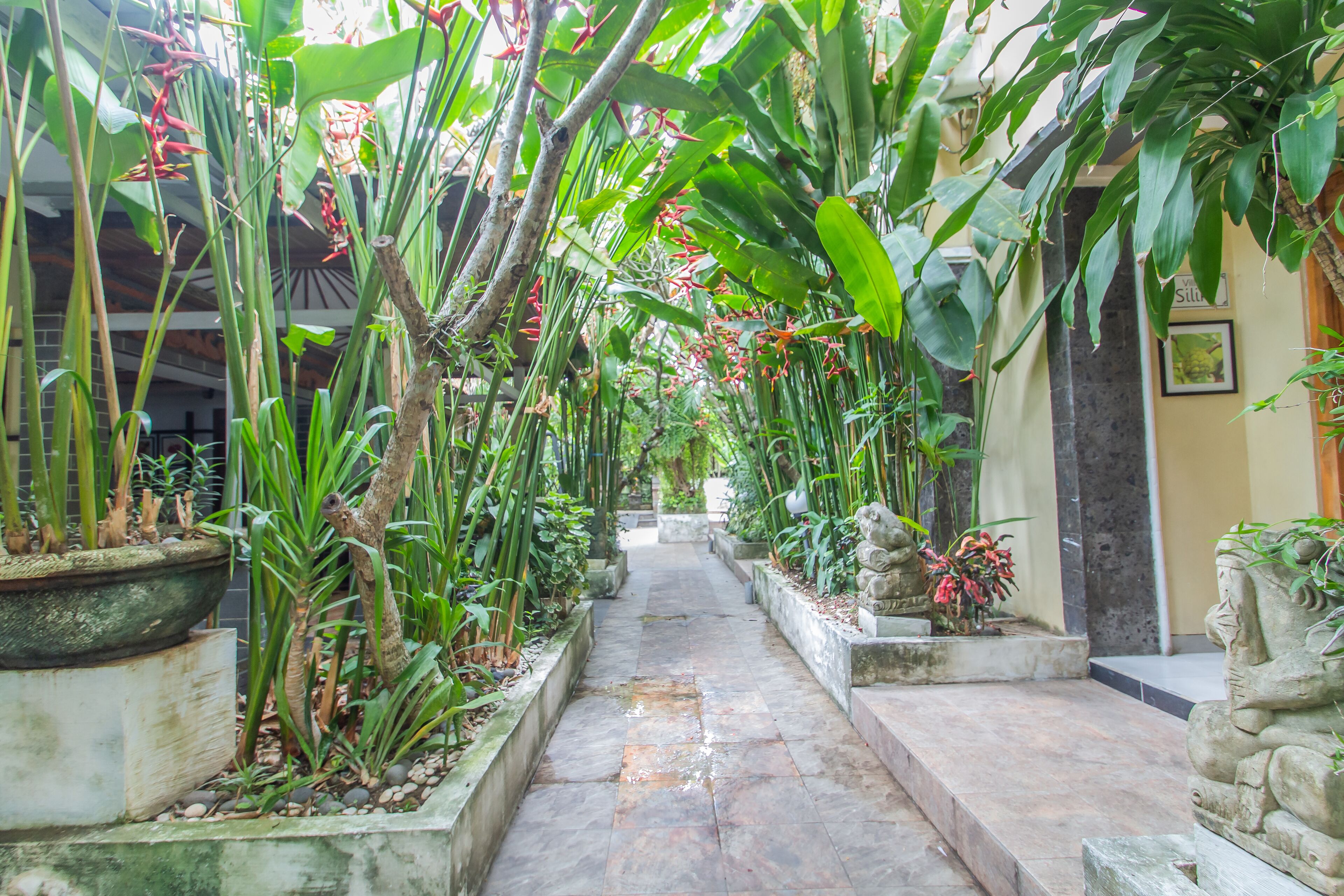 Taman