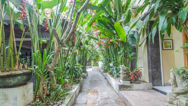 A narrow pathway flanked by potted plants and a stone statue, leading to a building entrance. - The Sesari Jimbaran (Jimbaran)