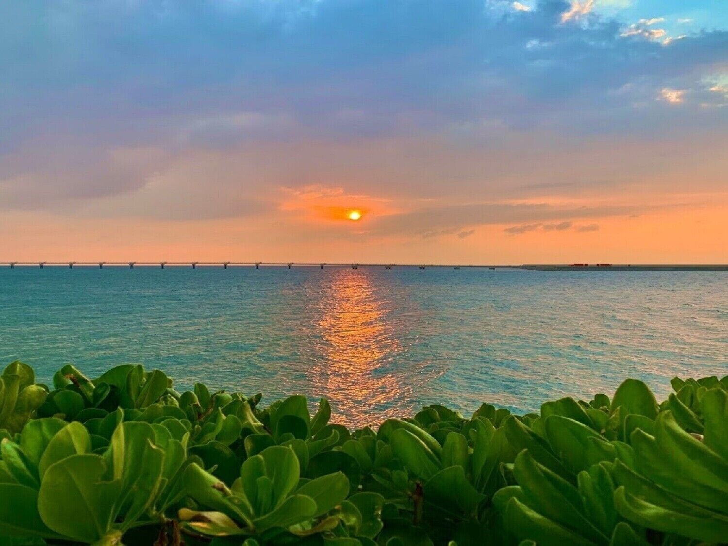 A sunset over a calm sea with a bridge in the distance and lush greenery in the foreground.