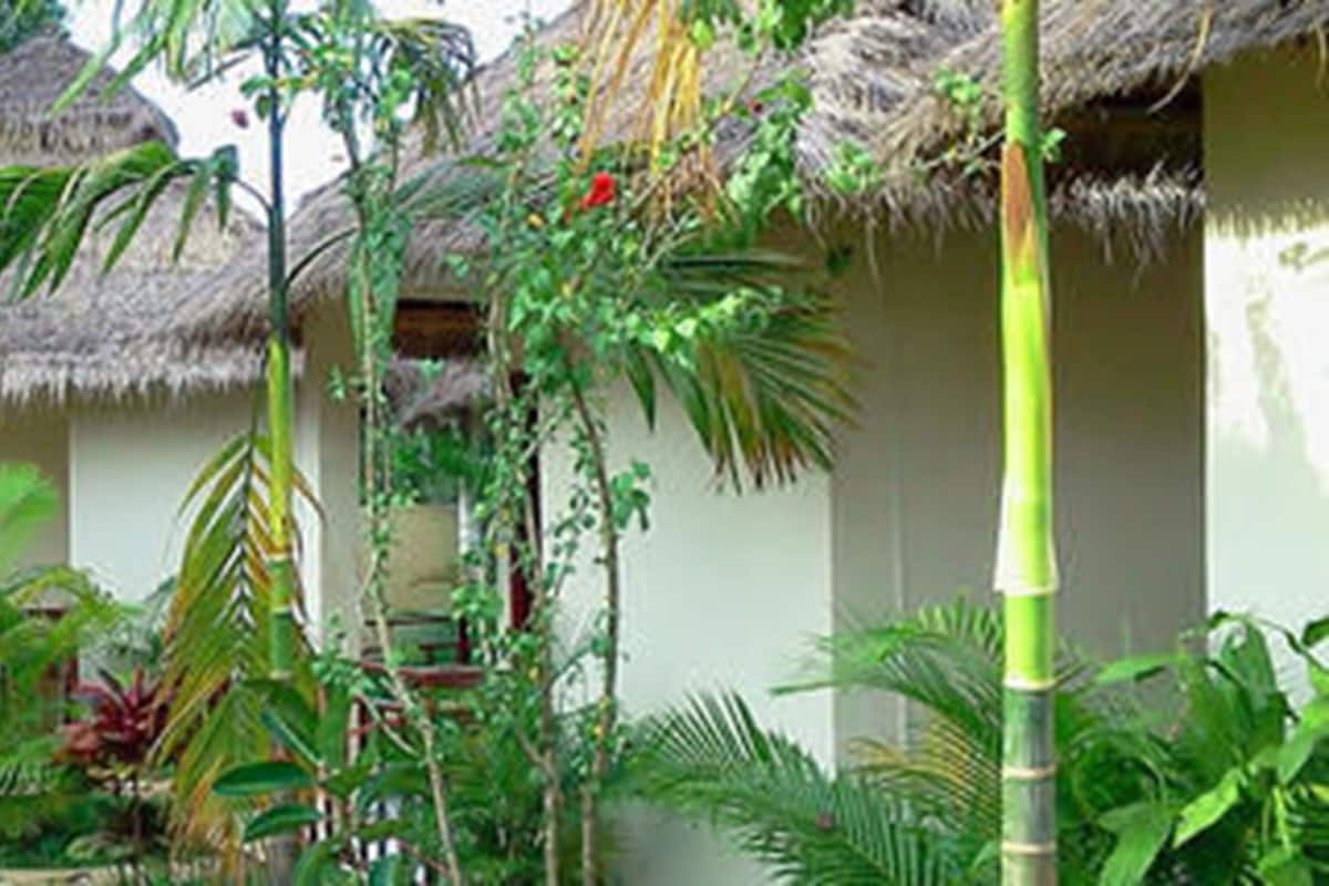Bungalow | Minibar, in-room safe, desk, rollaway beds (surcharge)