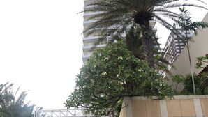 A high-rise building with a curved facade, surrounded by palm trees and a concrete pathway leading to a gated entrance. - View Talay 6 Condominium by Honey (Pattaya)