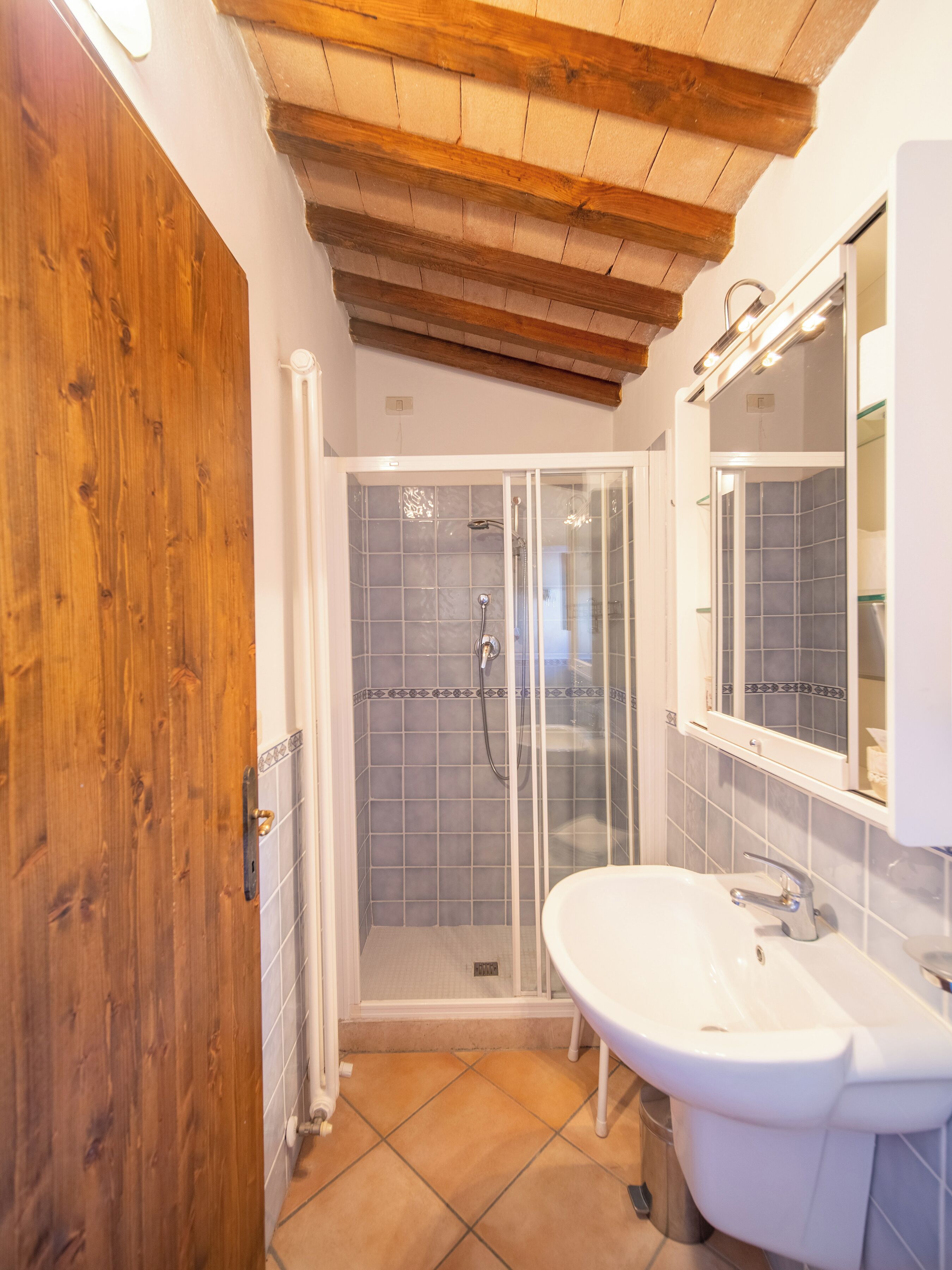 A bathroom with a wooden door, a glass shower enclosure, and a white sink.