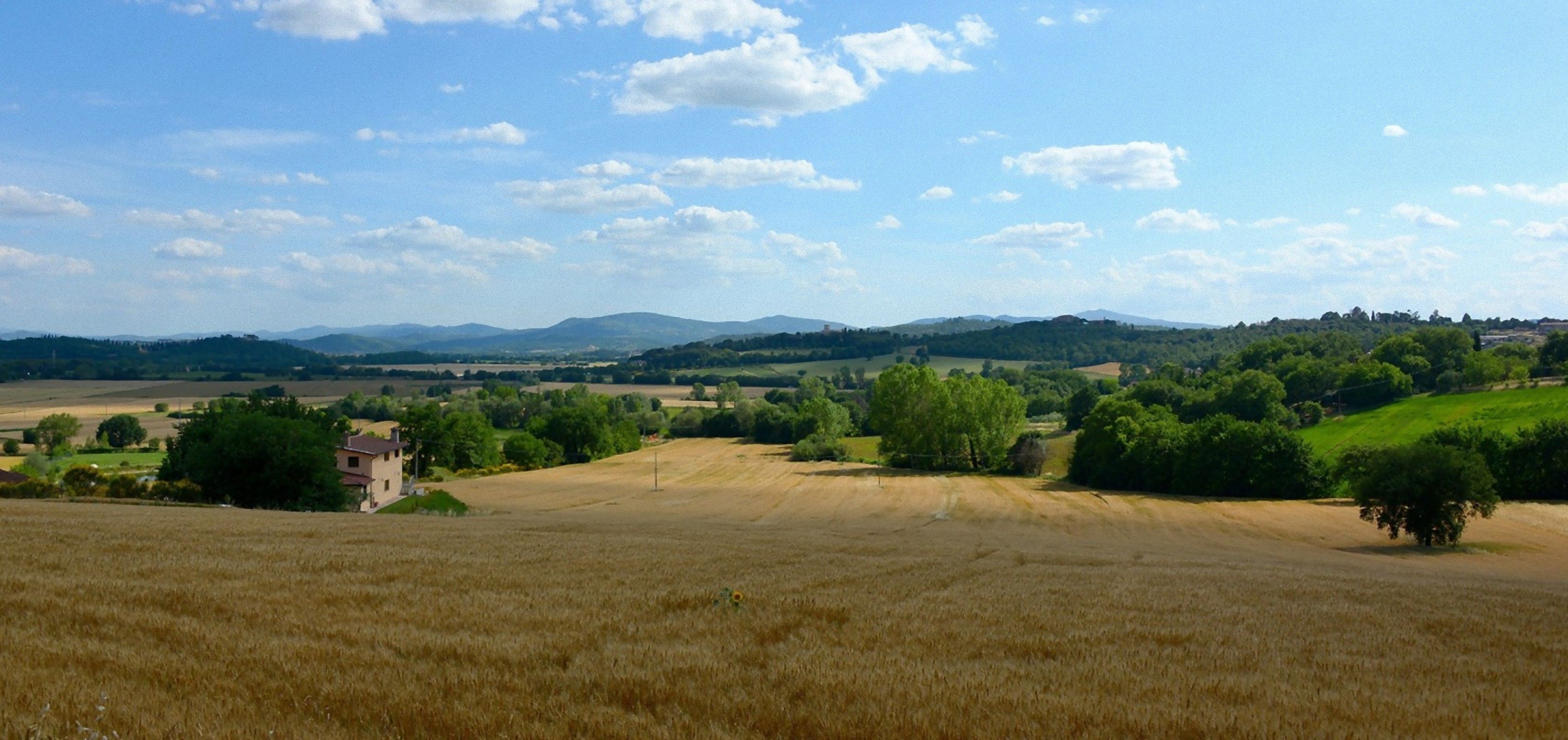 A rural landscape with fields, trees, and distant hills.