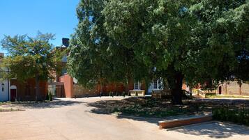 A quiet street with a large tree, brick buildings, and a clear blue sky.