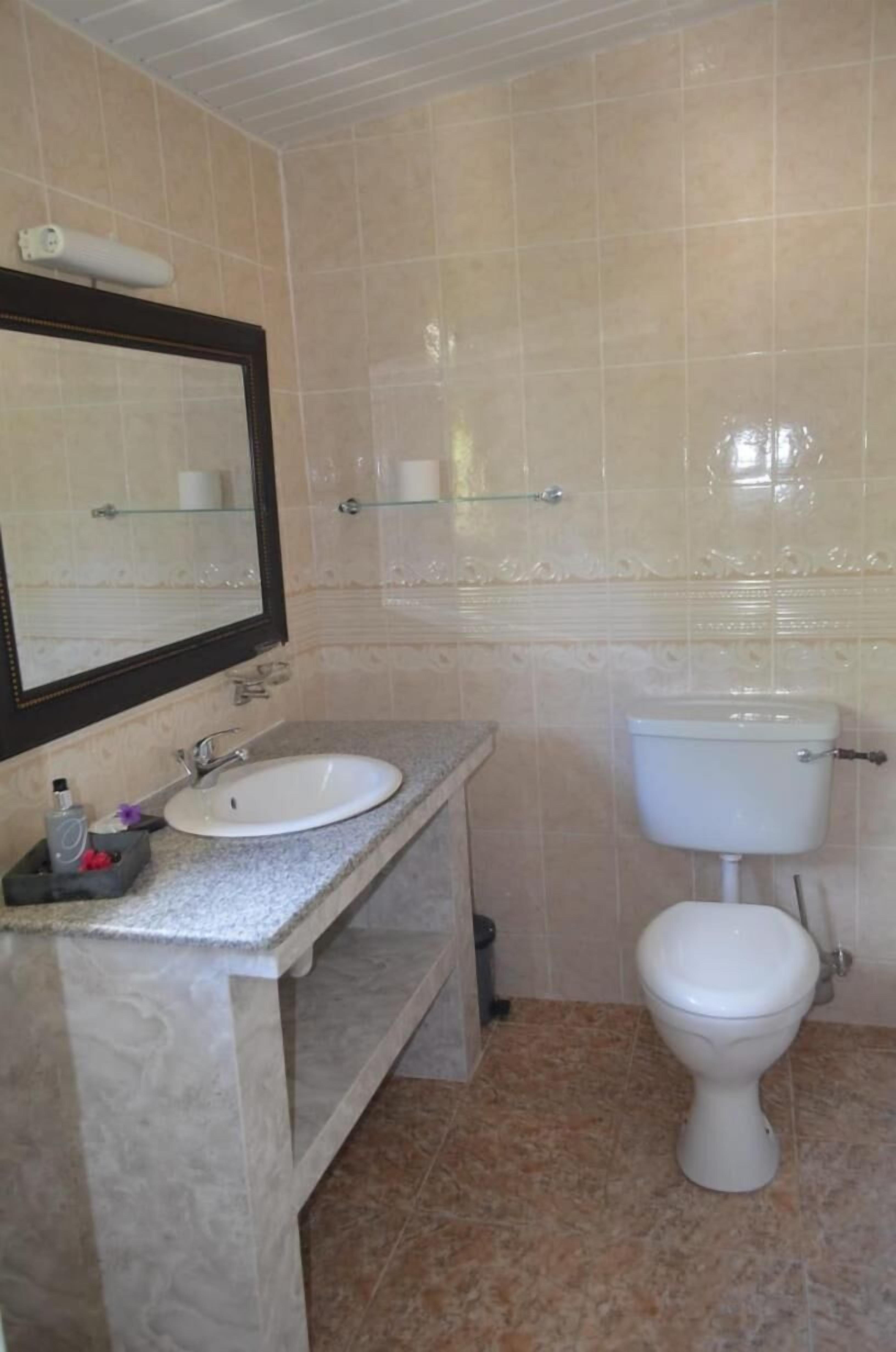 A bathroom with a marble sink, a mirror, a toilet, and a glass shelf.