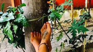 A person's legs resting against a tree, with a tattoo on the foot and a bracelet on the wrist. - Sarin Guesthouse (Koh Tao)