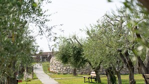 Un sentier bordé d’arbres et de bancs, qui mène à un bâtiment.