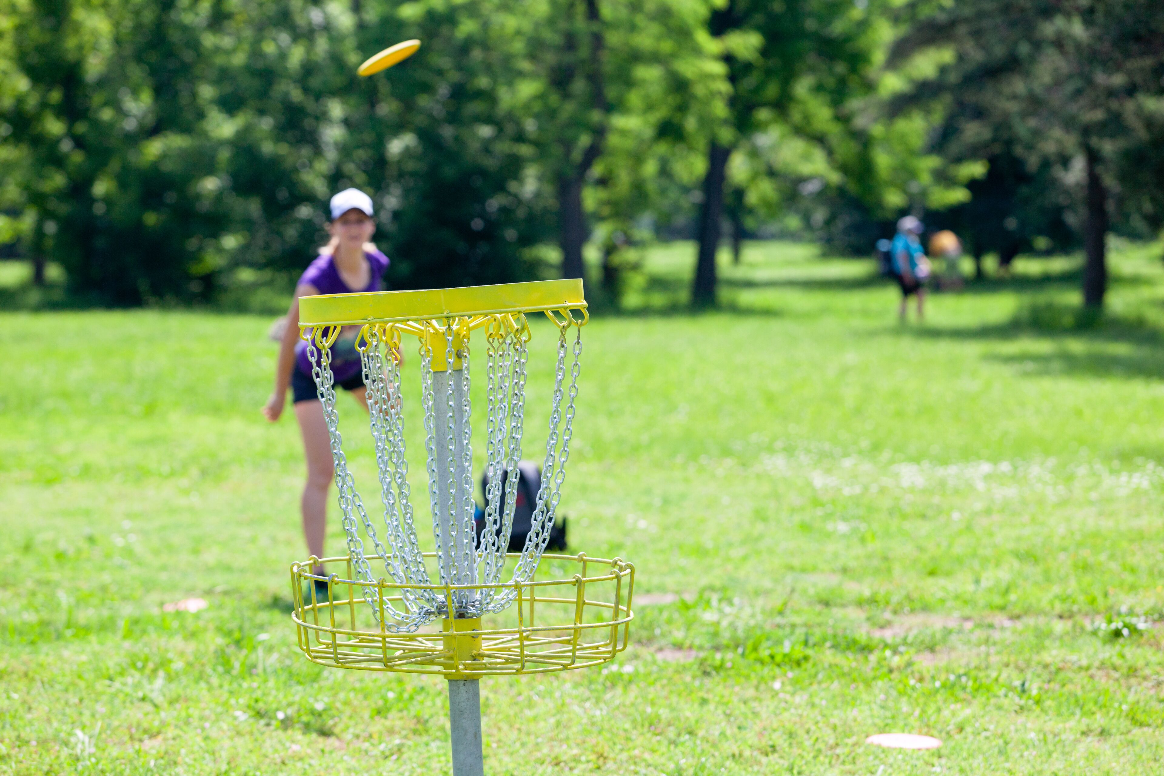 Un panier de disc golf dans un parc, avec un terrain herbeux et des arbres en arrière-plan.