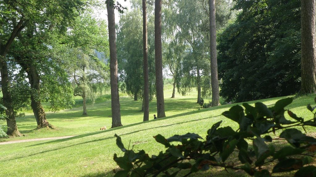 Un parque con árboles altos y un área verde.