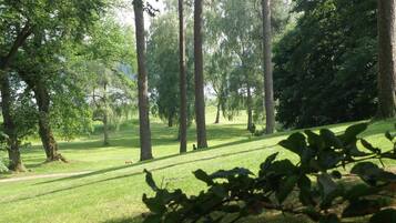 Un parque con árboles altos y un área verde.