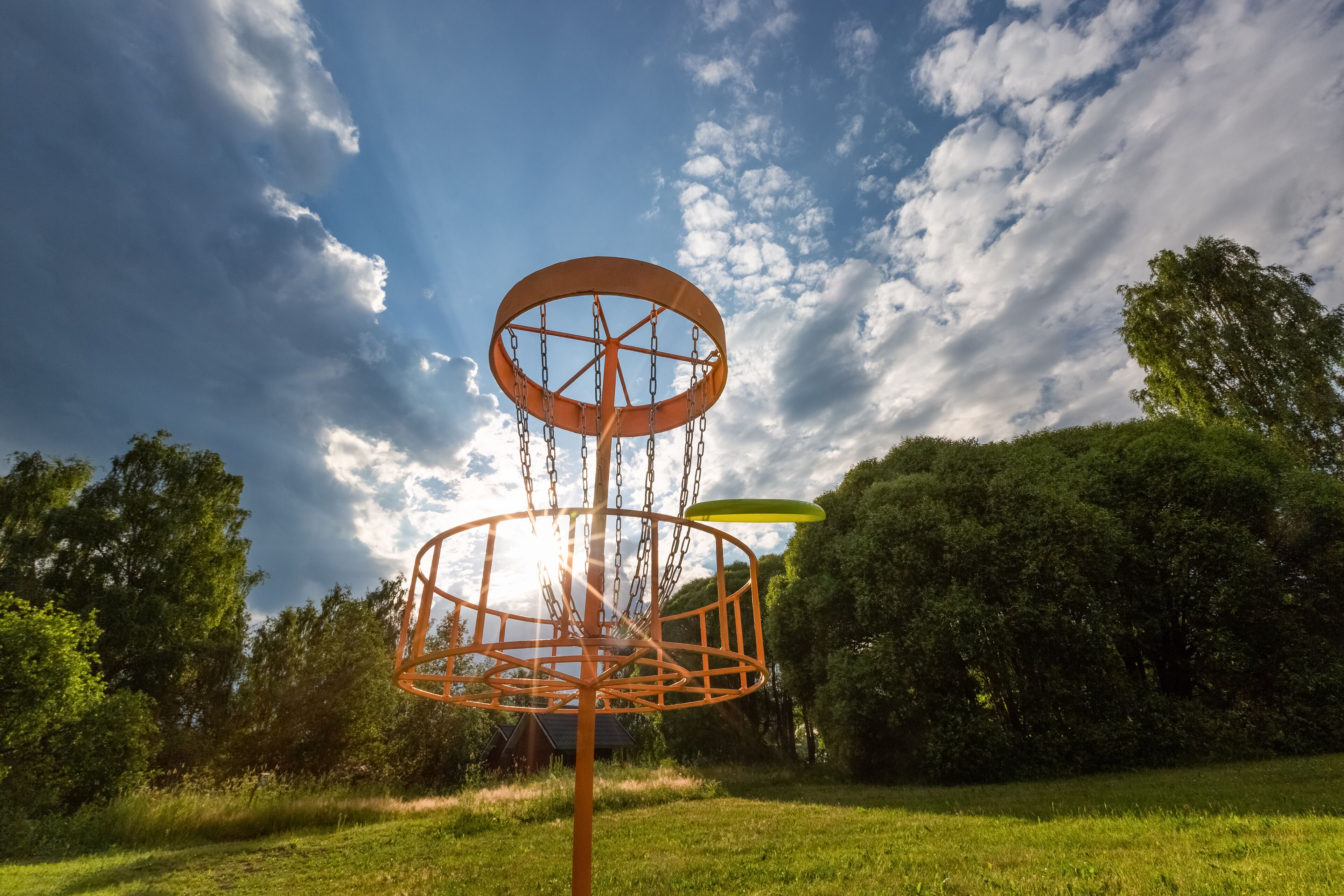 A disc golf basket in a park with trees and grass.