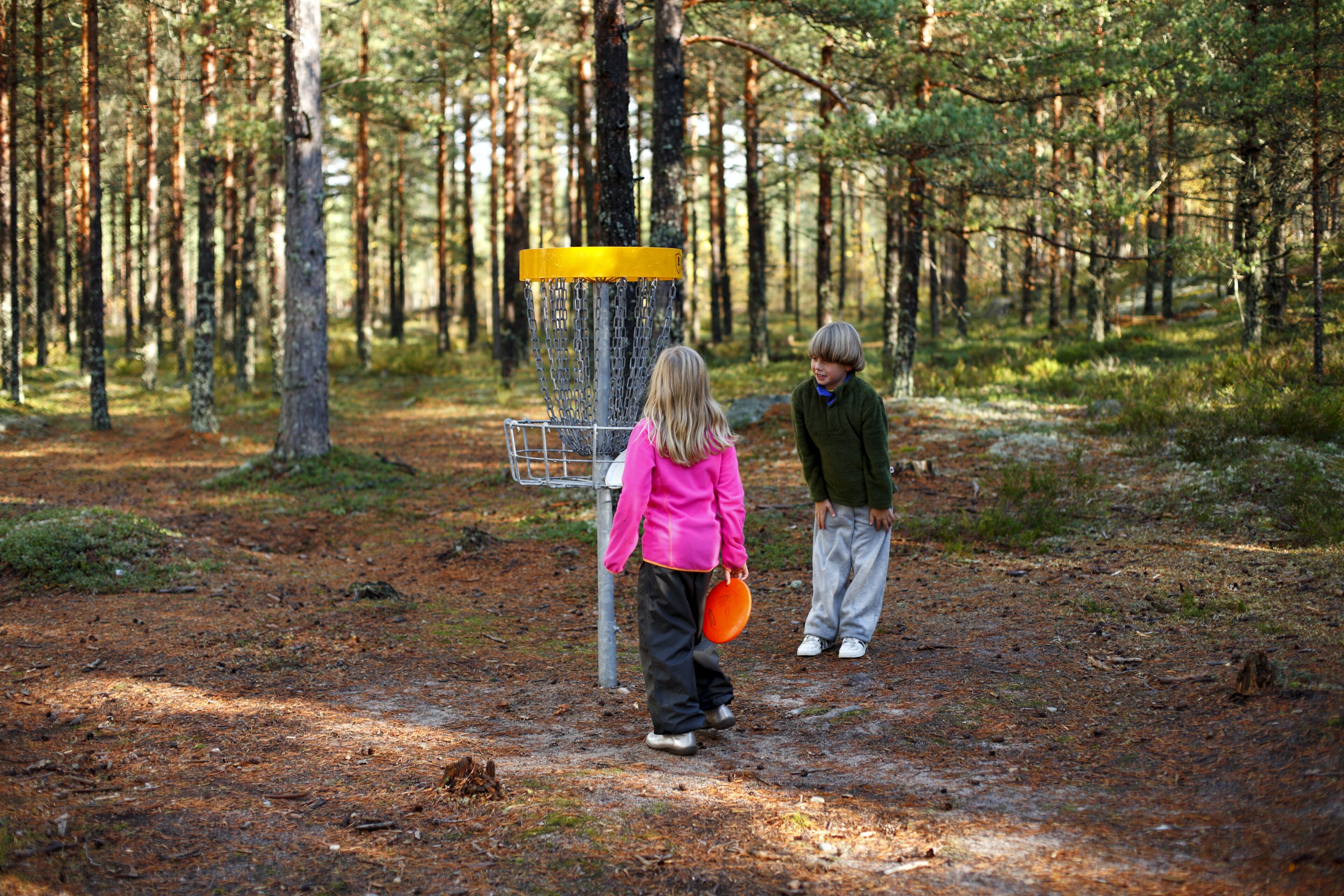 Zona boscosa con un cesto de metal para disc golf.