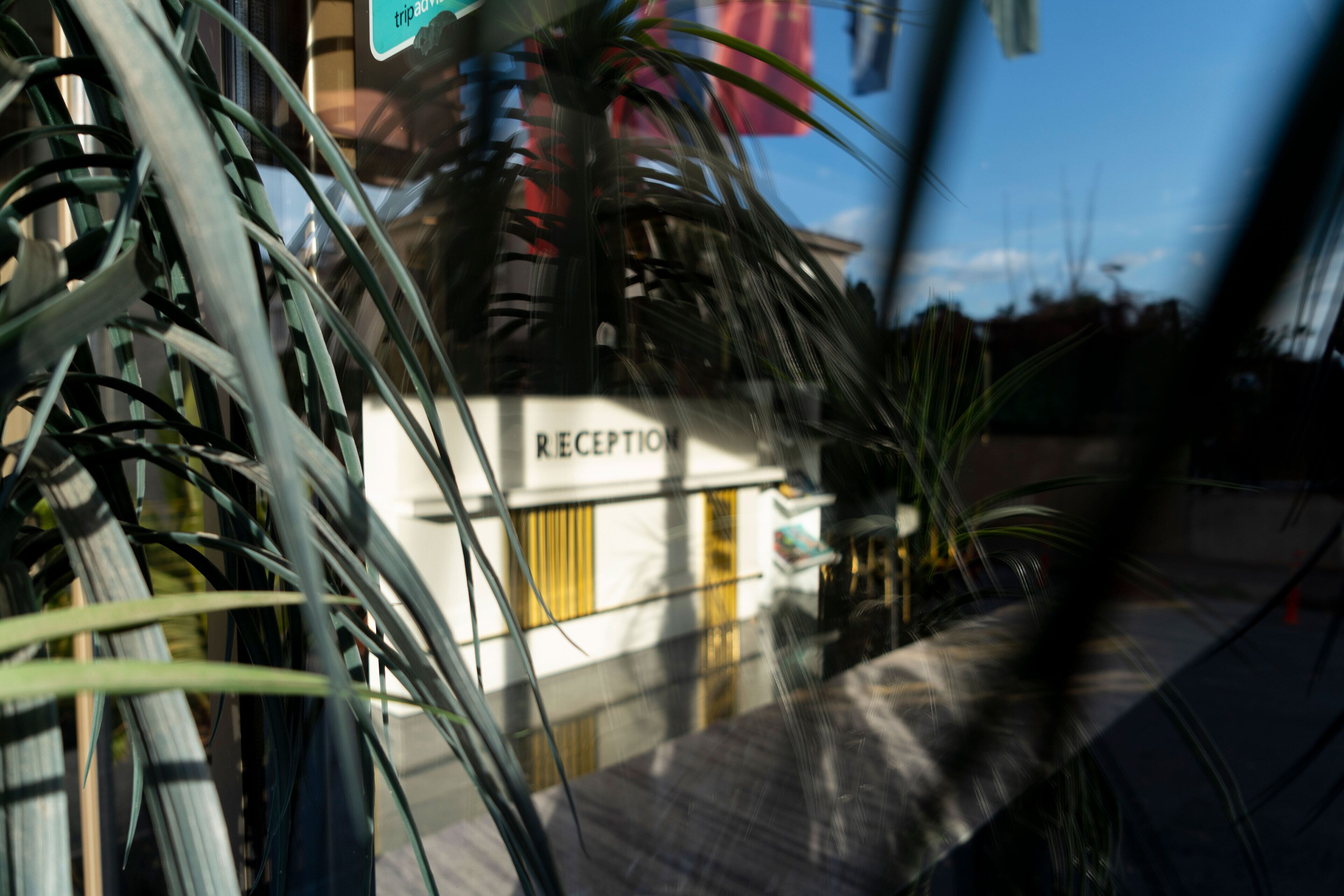 A reception area with a sign that reads "RECEPTION."