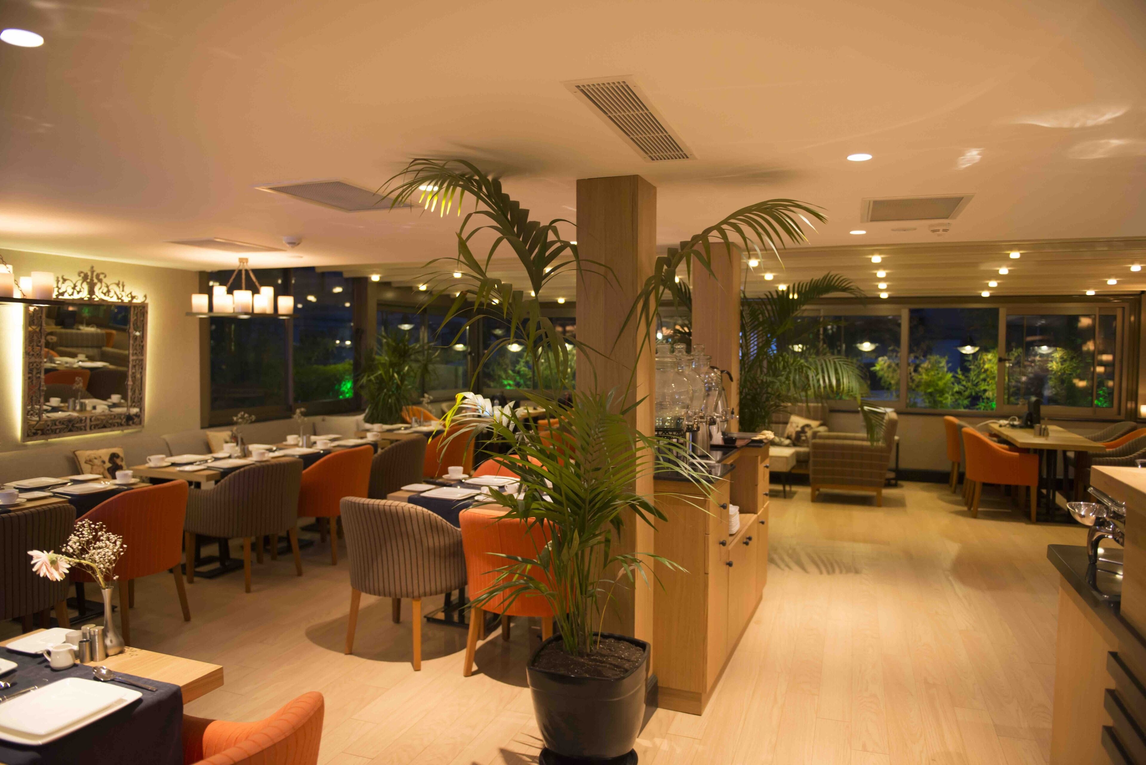 A restaurant with multiple dining areas, a central plant, and a view of the night sky through large windows.