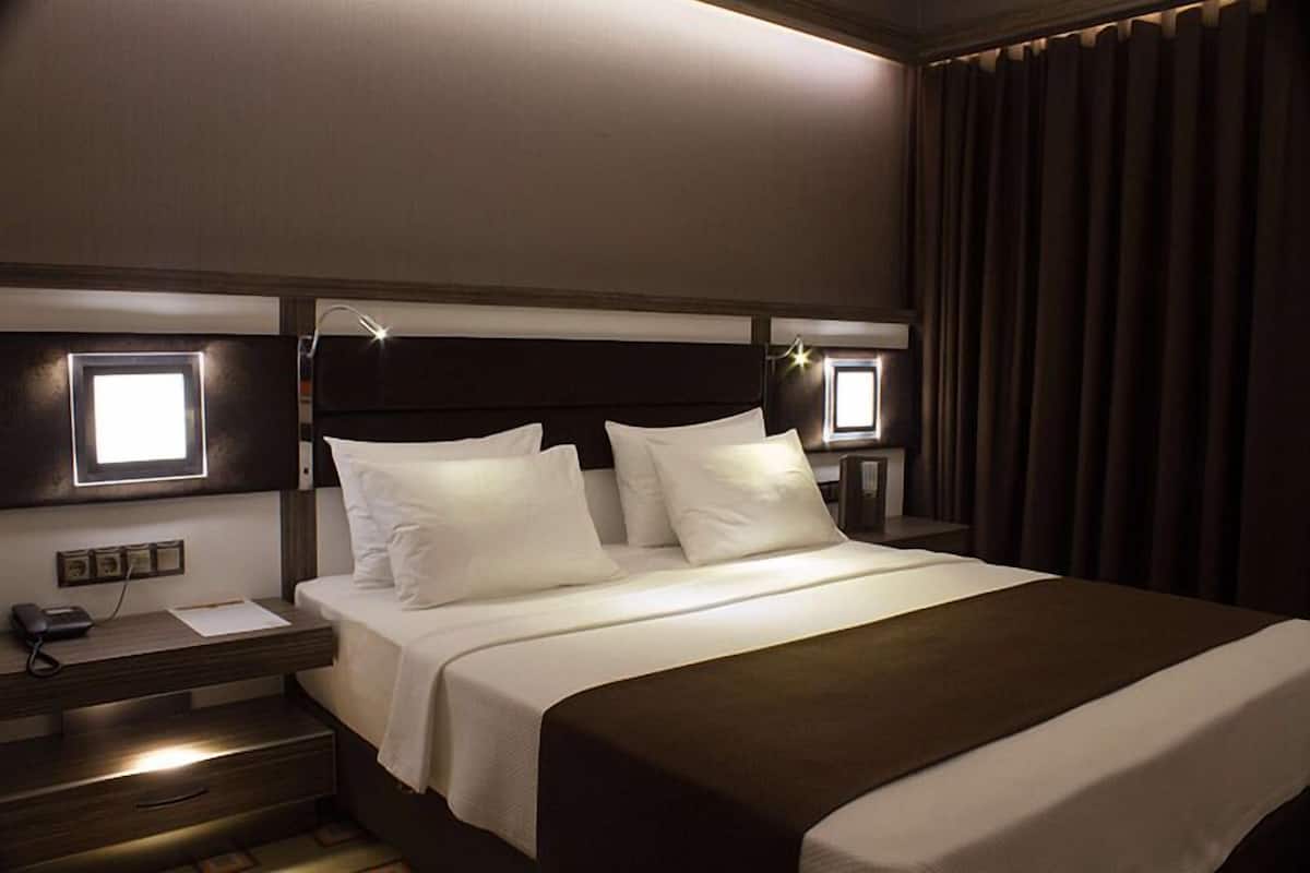 Deluxe Double or Twin Room | Minibar, in-room safe, desk, iron/ironing board (on request)