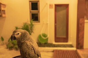 Δραστηριότητες για παιδιά