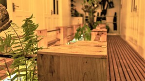 Un banco de madera en un pasillo con una planta a la izquierda.