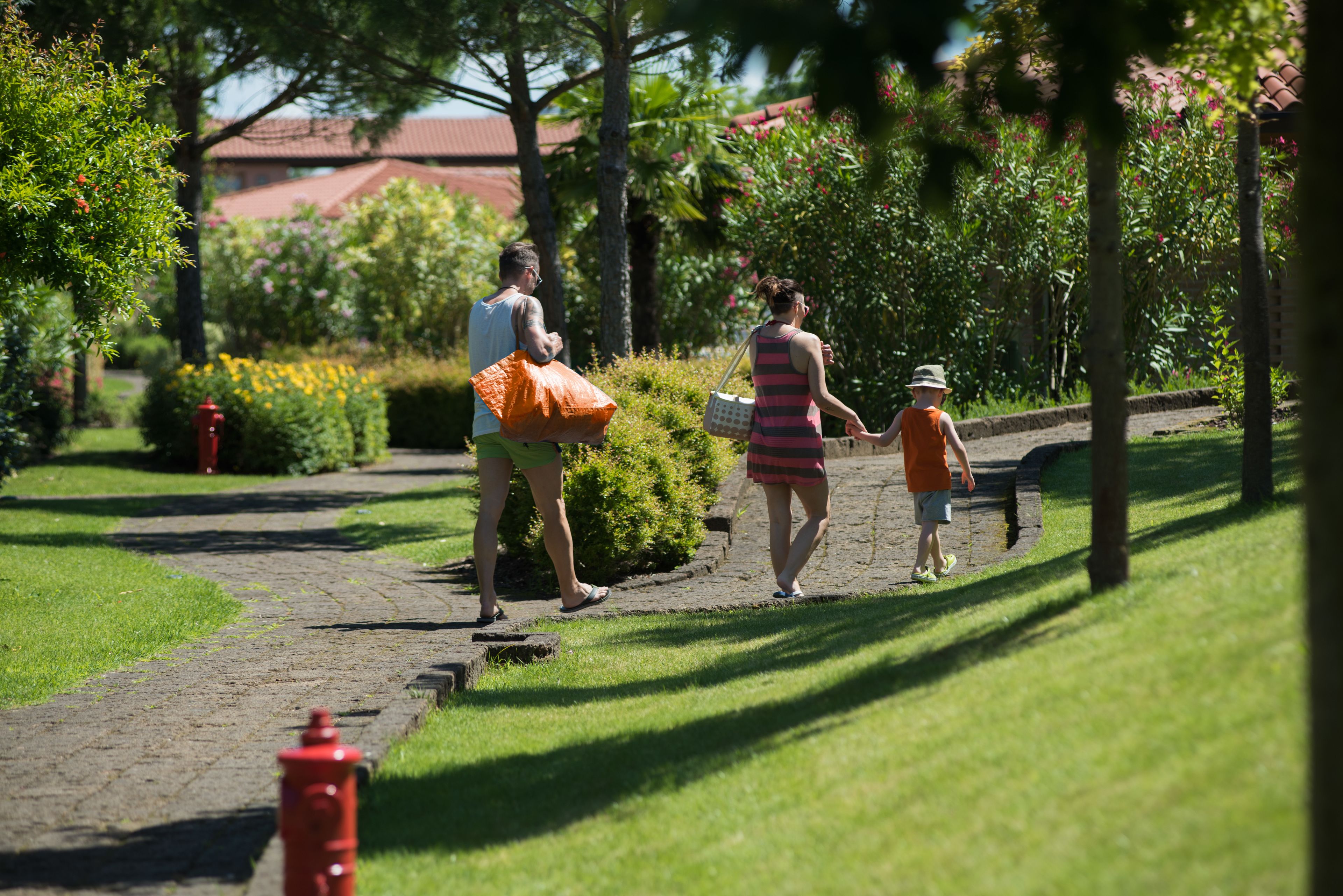 Un sendero en un parque con follaje y un hidrante rojo.