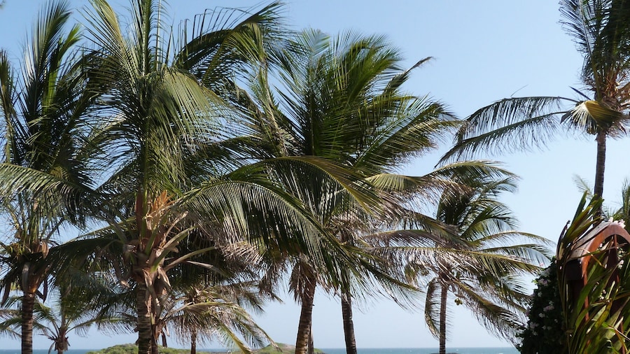 Aquarius Club International Resort