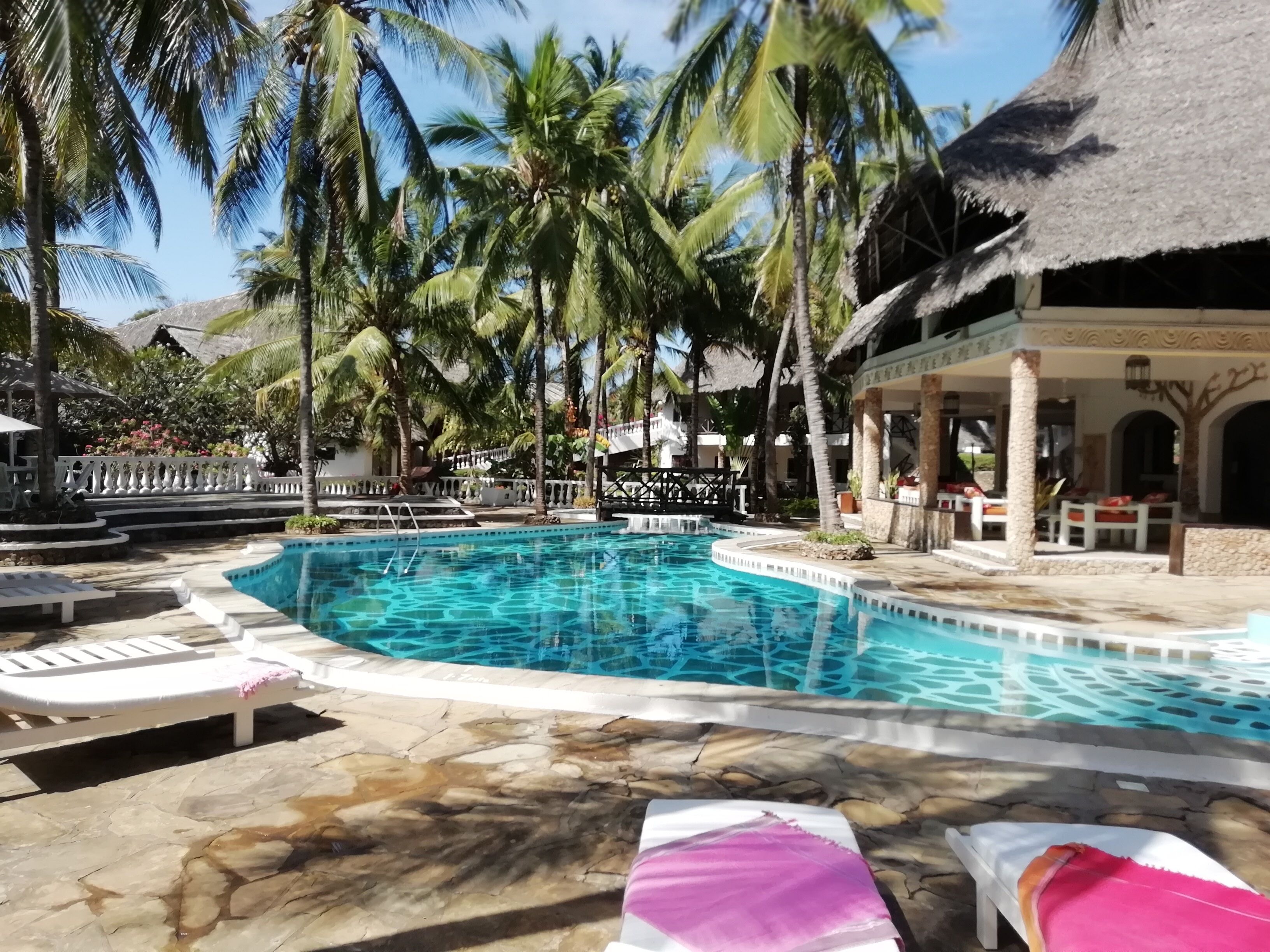 Una piscina rodeada de palmeras y sillas de descanso.