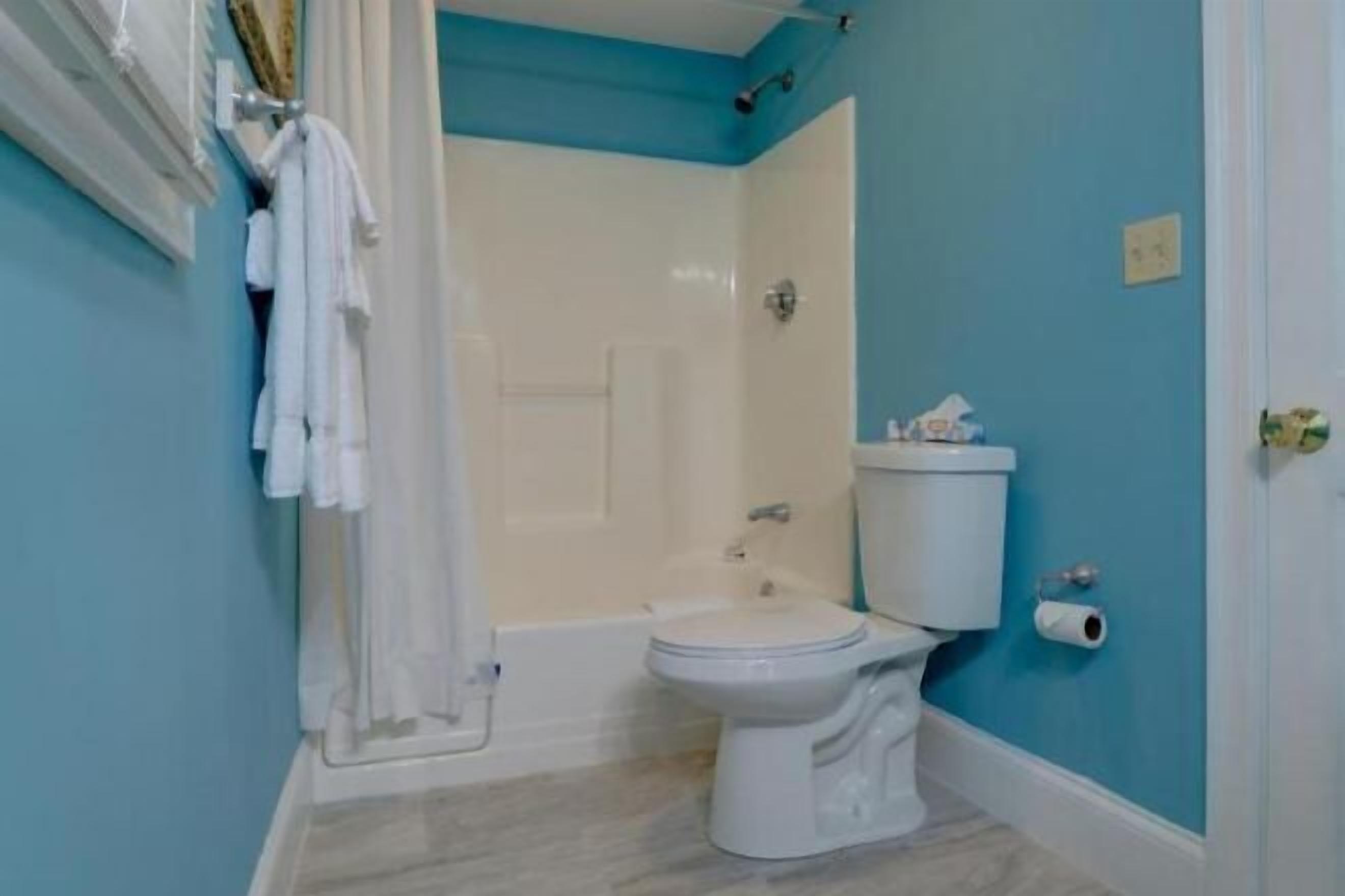 Bany | Combinació de dutxa i banyera i articles de tocador gratuïts 