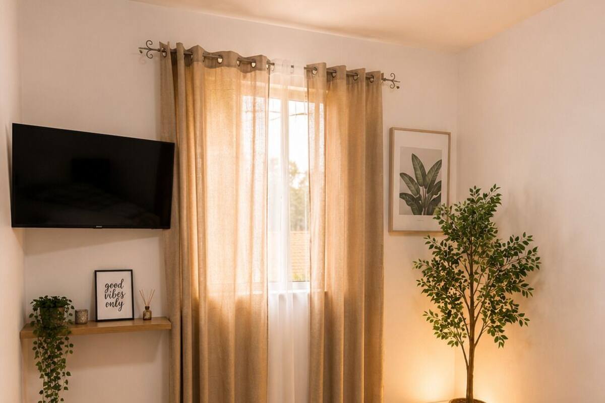 A bedroom with a bed, a TV, a window with curtains, a plant, and a framed picture on the wall.