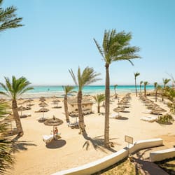 On the beach, beach umbrellas, beach towels, beach volleyball