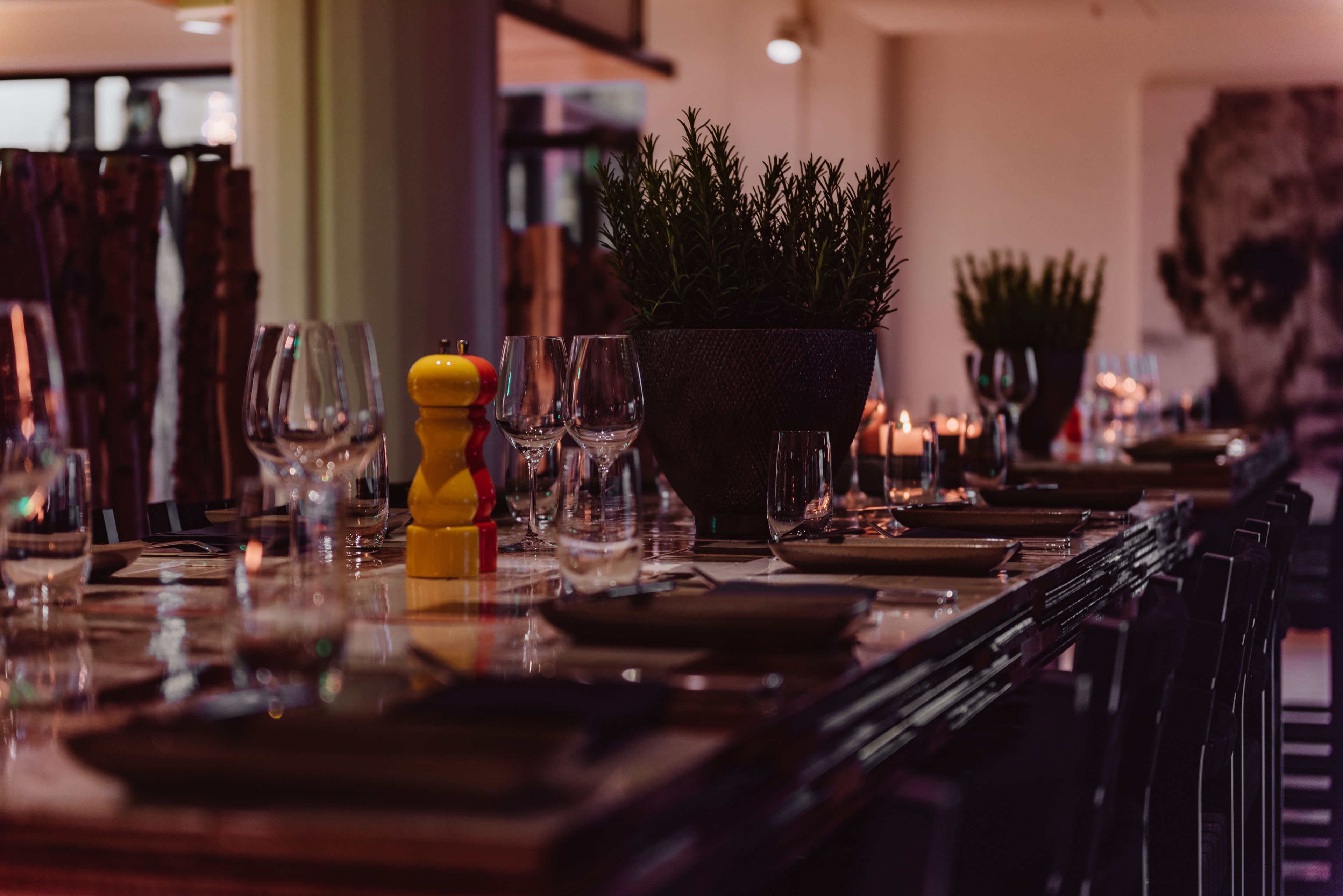 A restaurant setting with a long table, wine glasses, plates, and a potted plant.