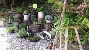 Un jardín con diversas plantas en macetas, dispuestas sobre troncos de madera y macetas de metal, rodeado de grava y follaje.